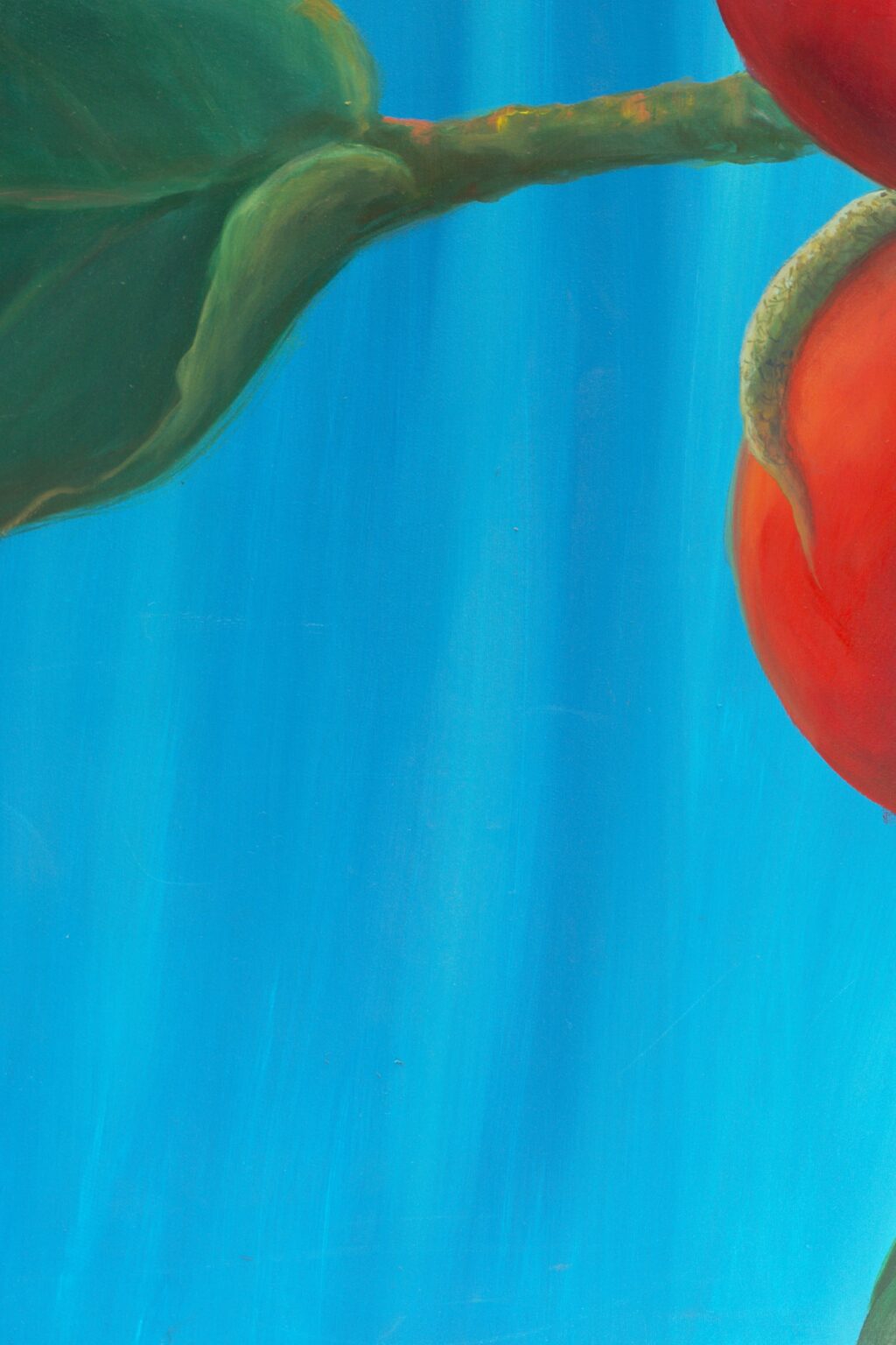 CG04D7