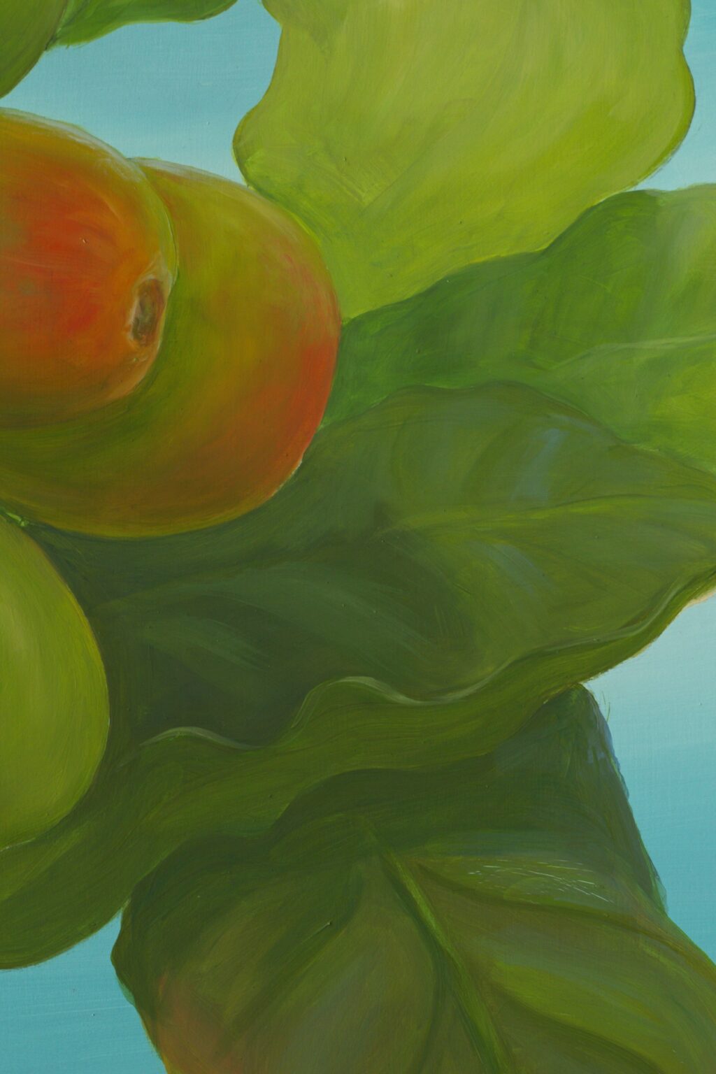 CG06D11