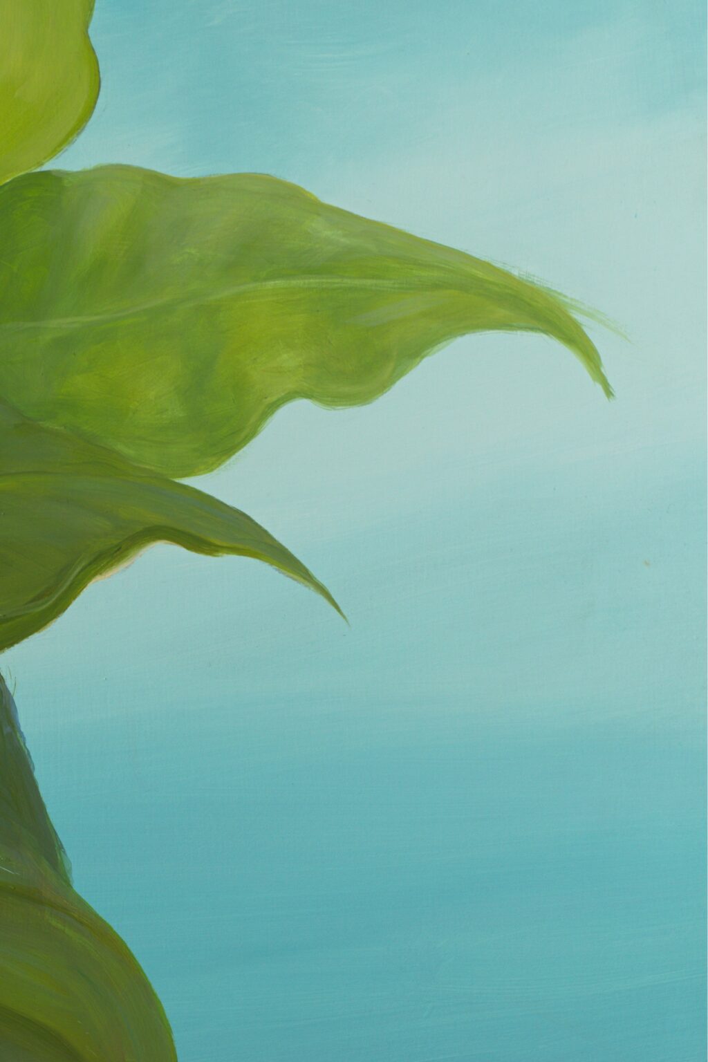 CG06D12