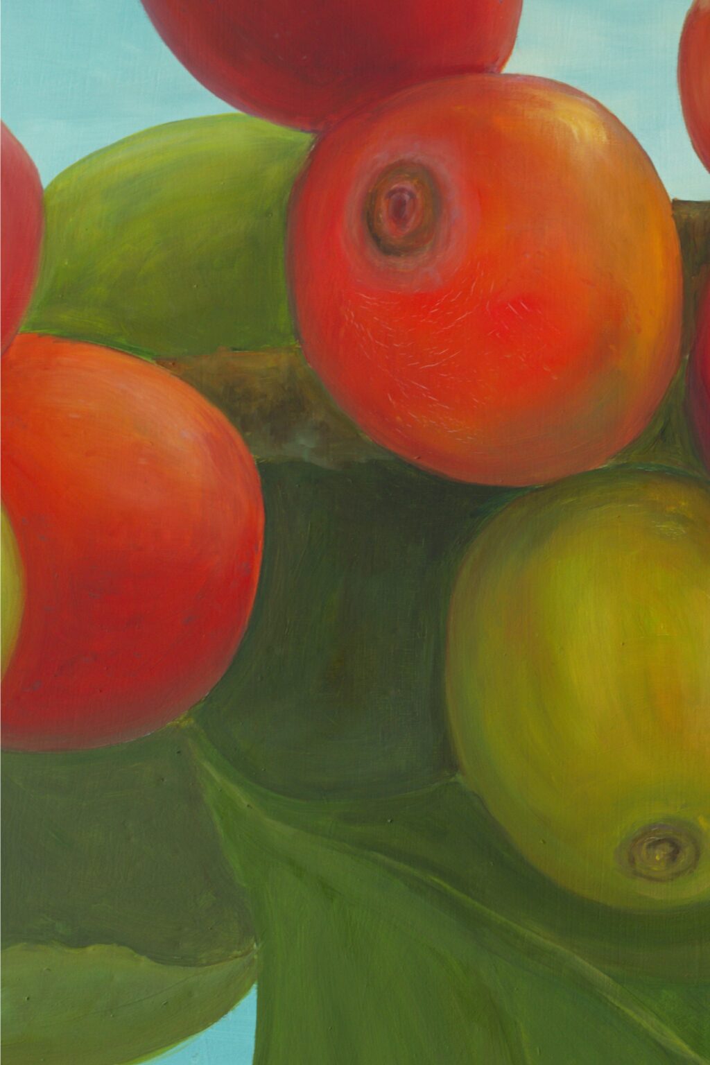 CG06D13