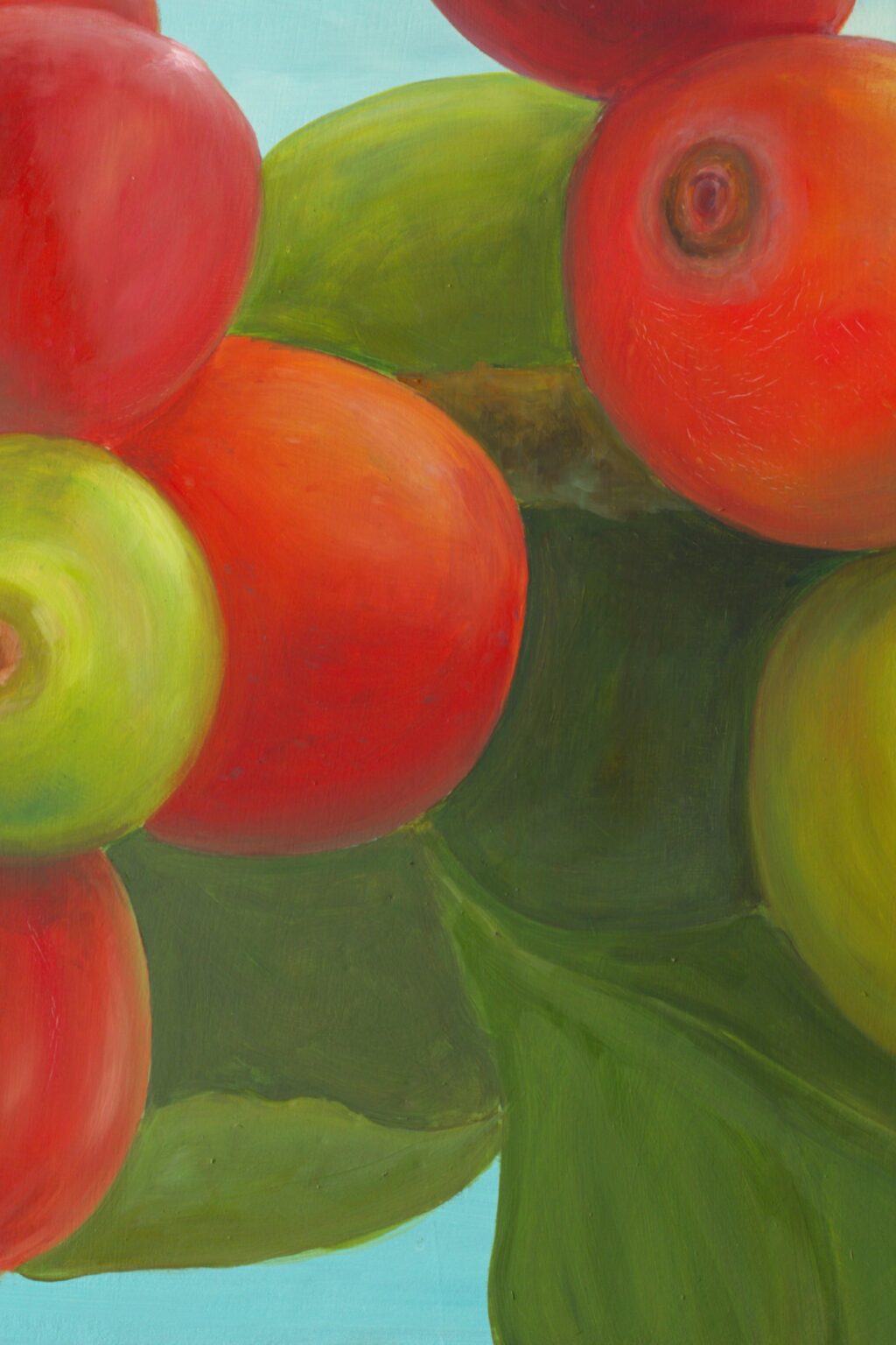 CG06D17