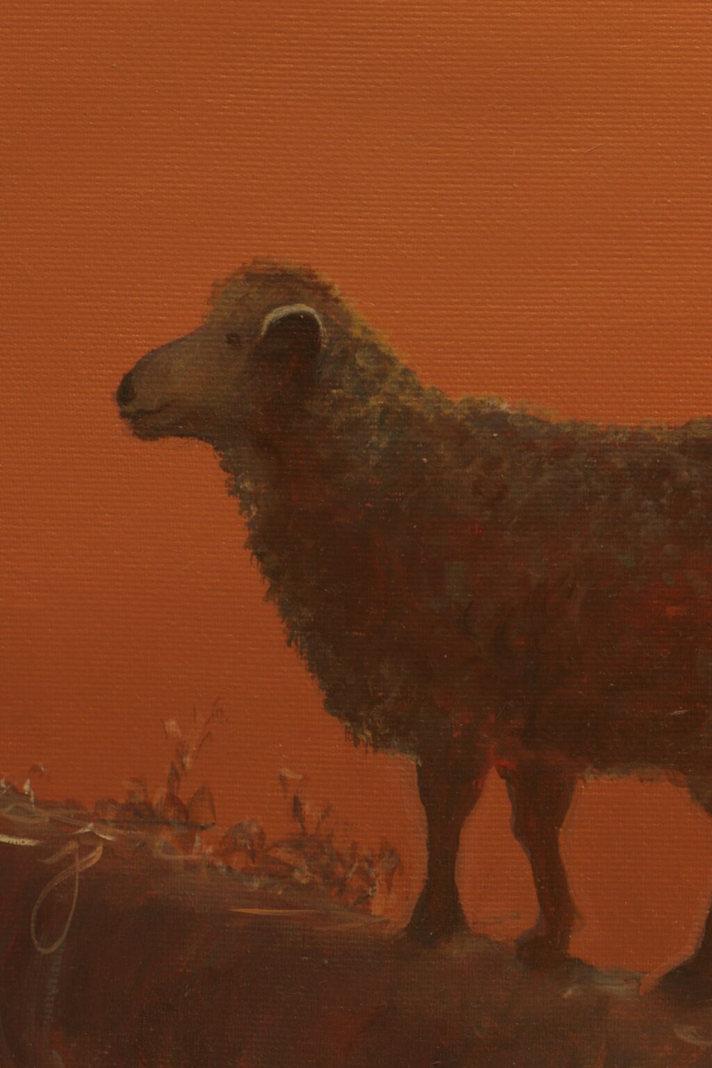 CG3D16