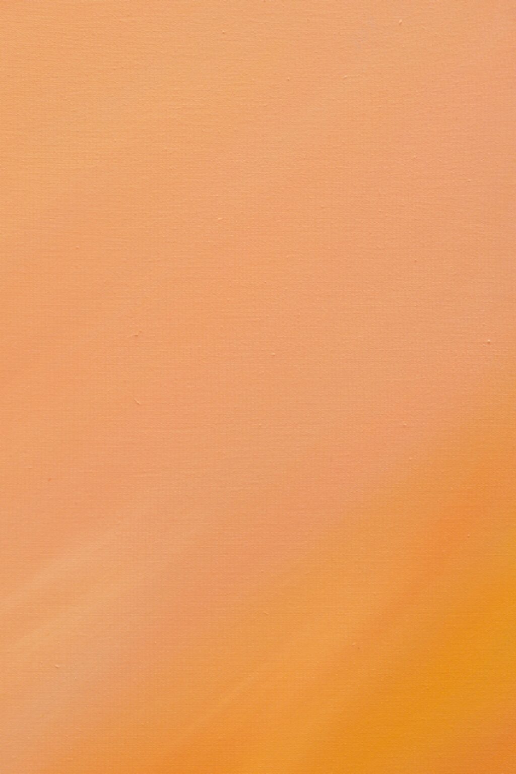CG6.D13