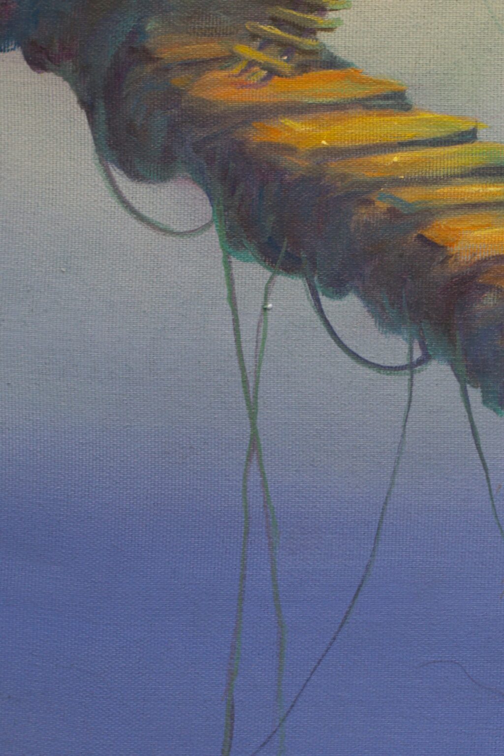 CG6D1