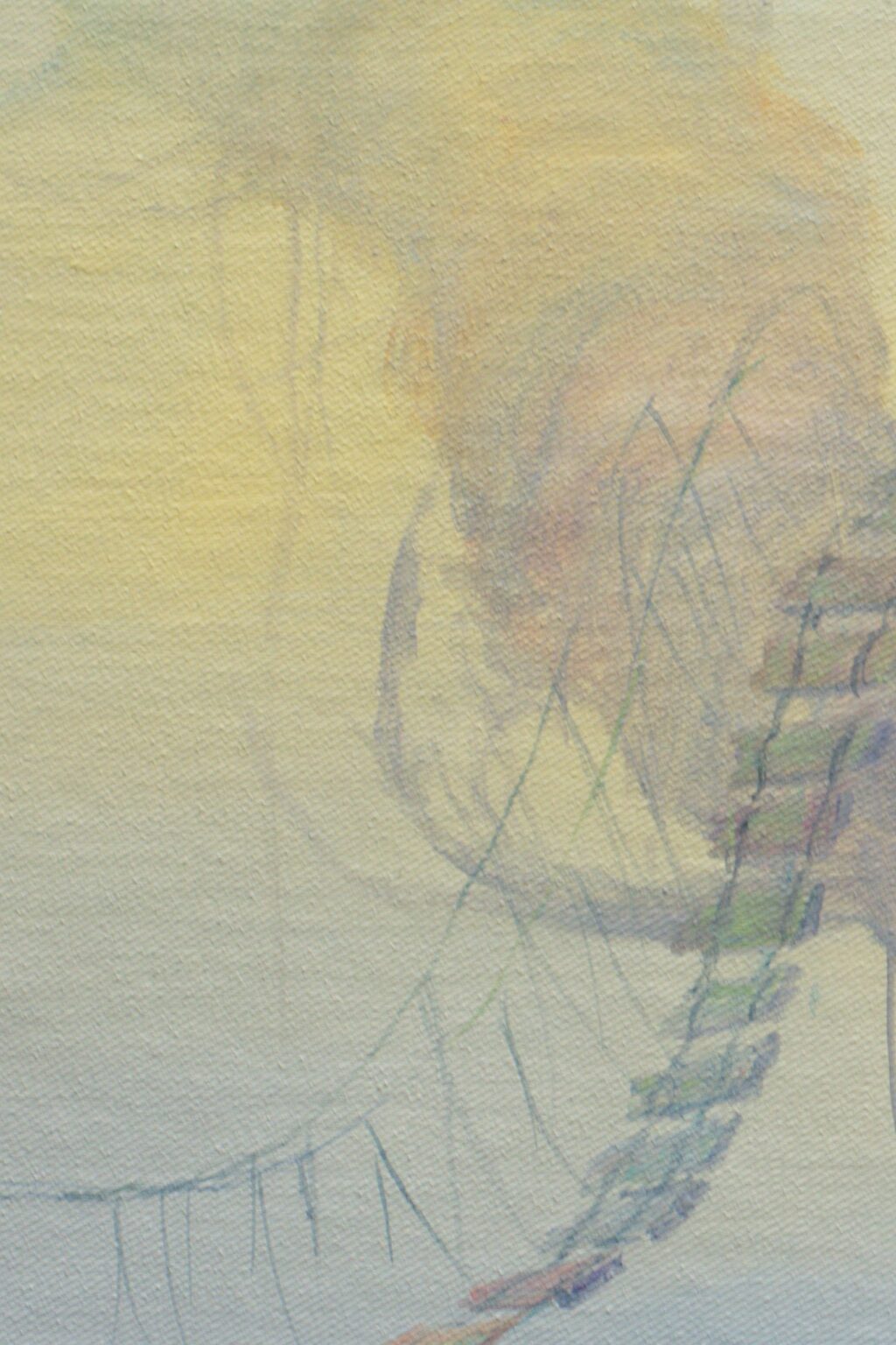 CG7D6