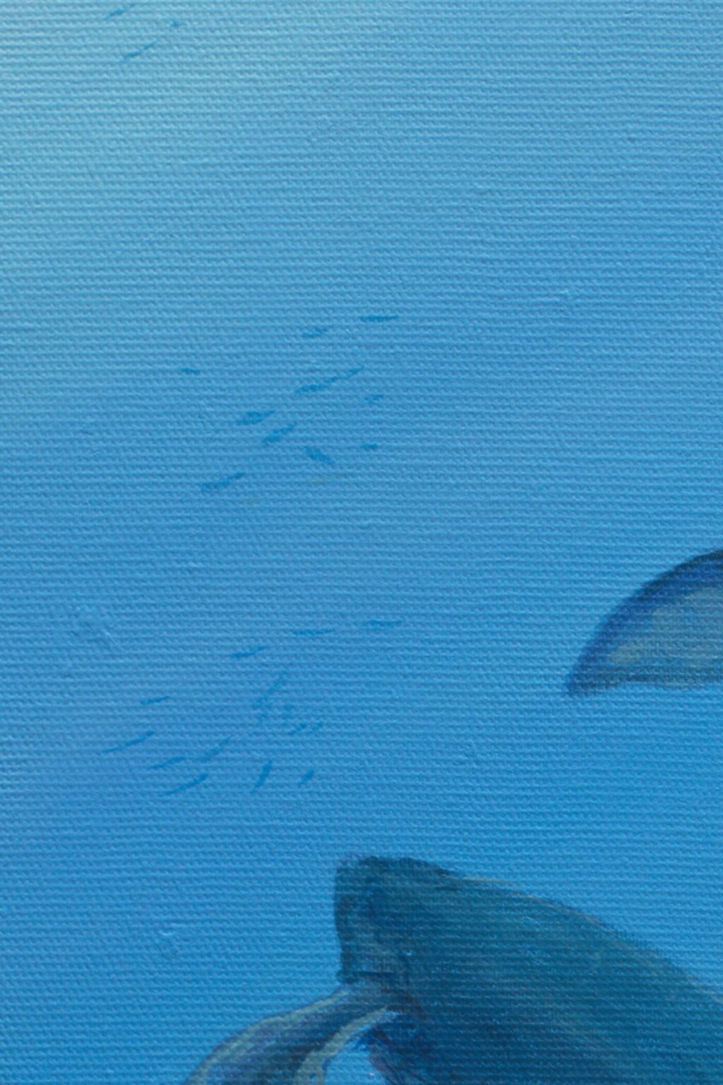 SK03D1