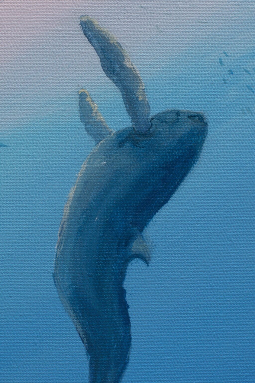 SK03D6