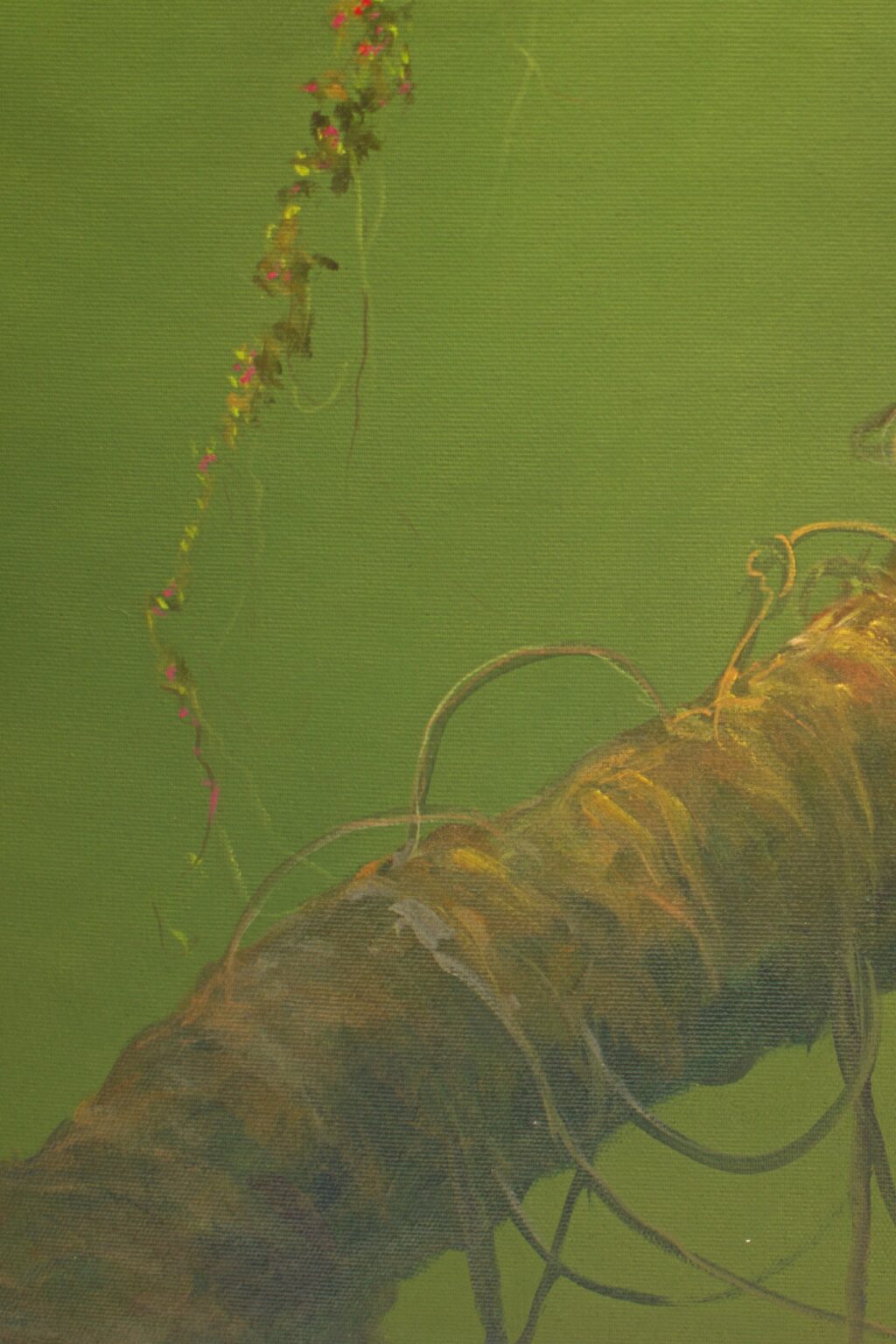 ME05D12