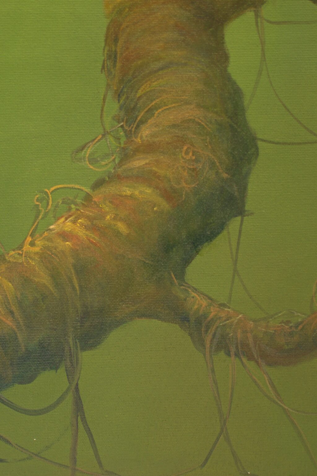 ME05D13